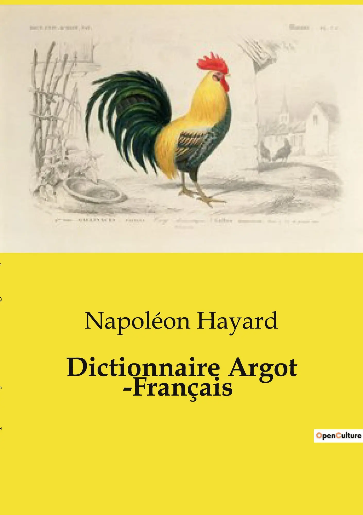 Cover: 9791041998289 | Dictionnaire Argot ­Français | Napoléon Hayard | Taschenbuch | 2024