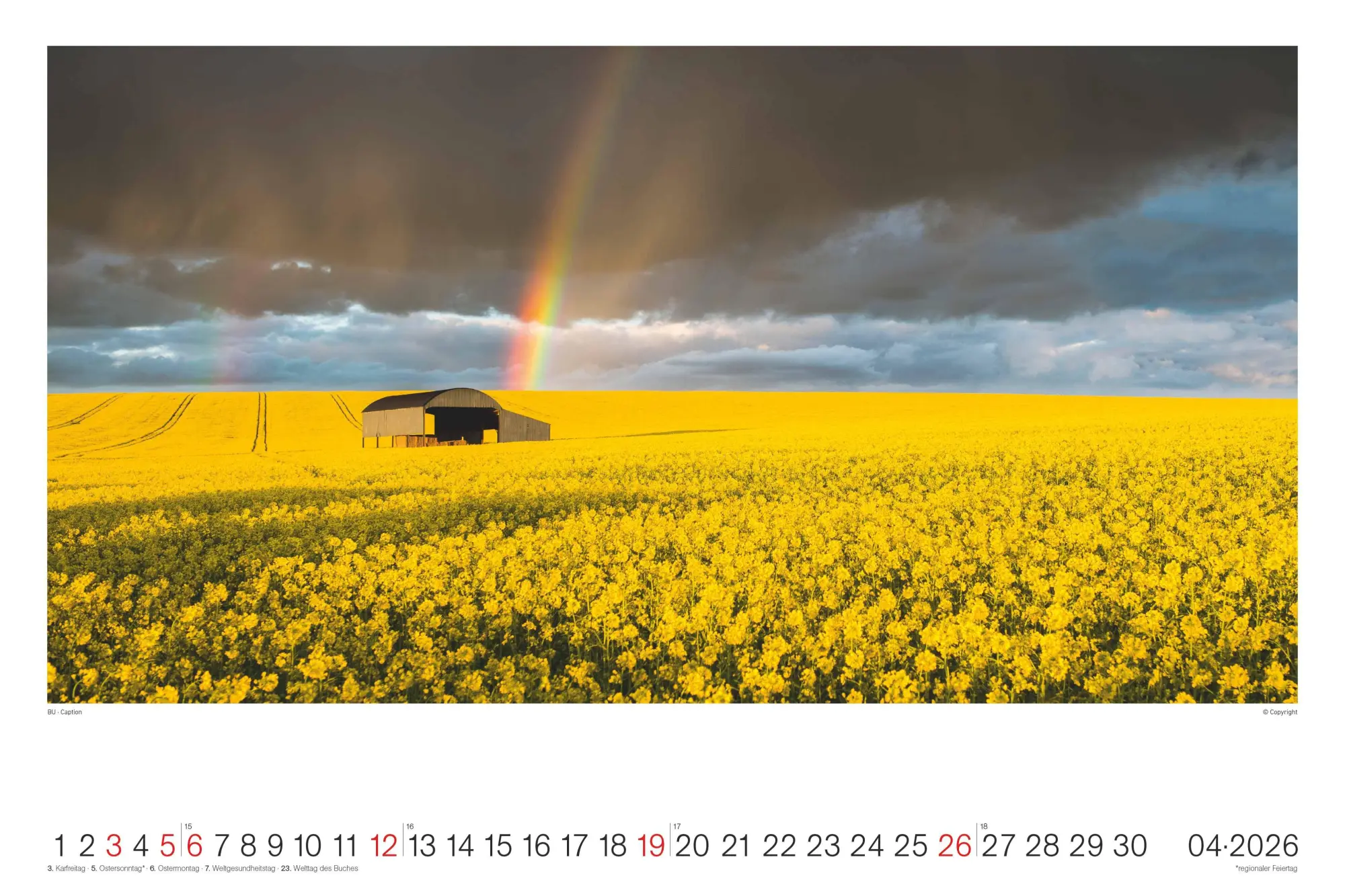 Bild: 4069095008489 | Regenbogen - Wandkalender im Format 49, 5 x 33 | Kalender | 14 S.