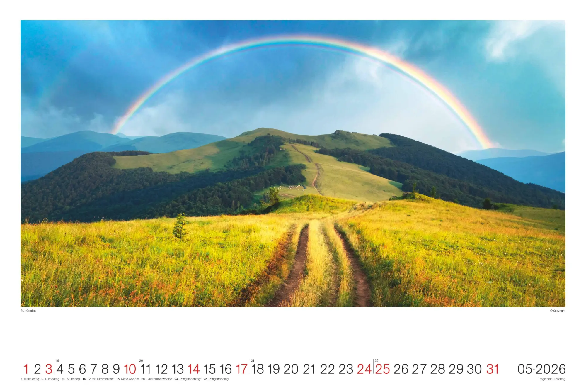 Bild: 4069095008489 | Regenbogen - Wandkalender im Format 49, 5 x 33 | Kalender | 14 S.