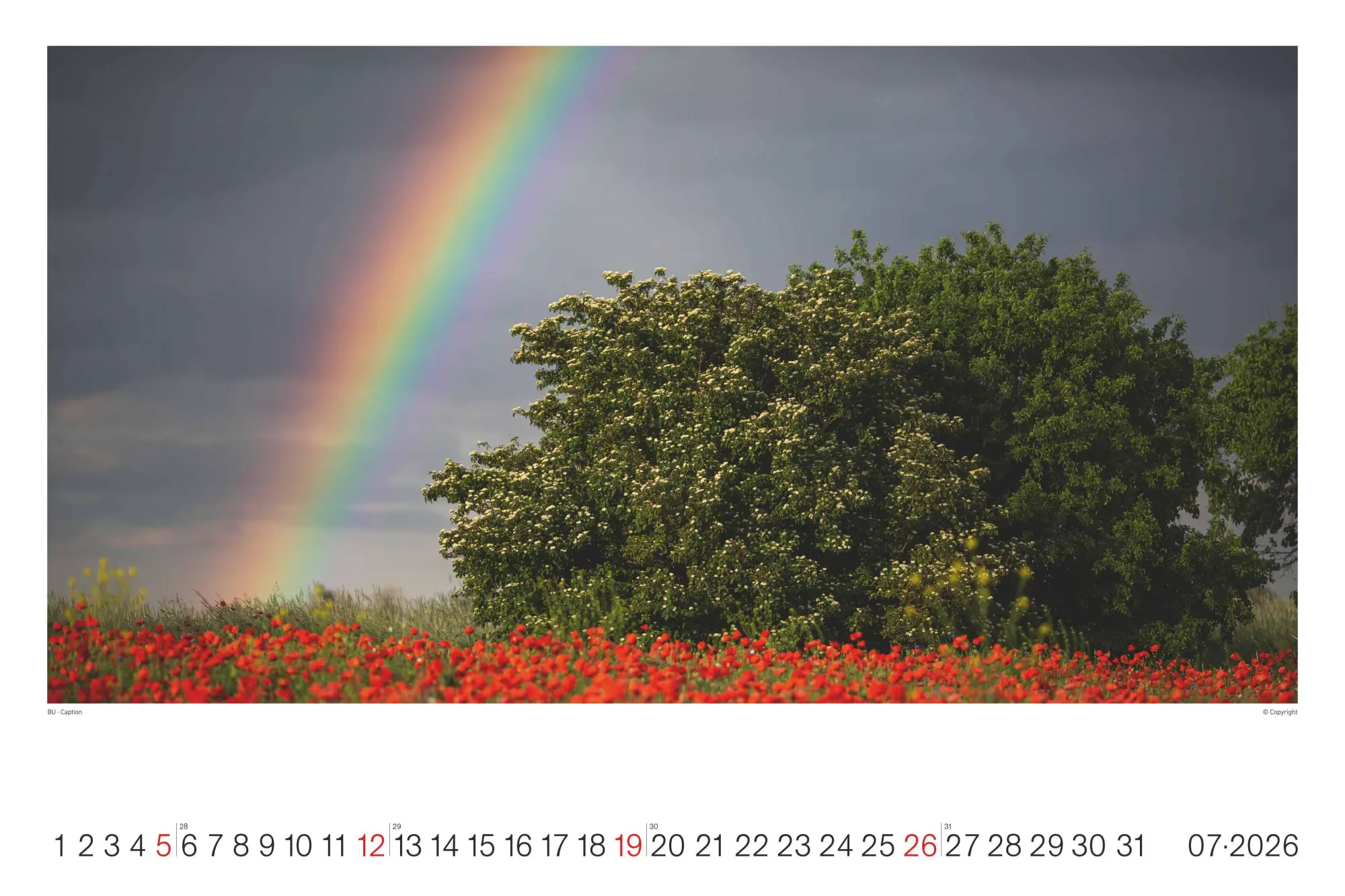 Bild: 4069095008489 | Regenbogen - Wandkalender im Format 49, 5 x 33 | Kalender | 14 S.