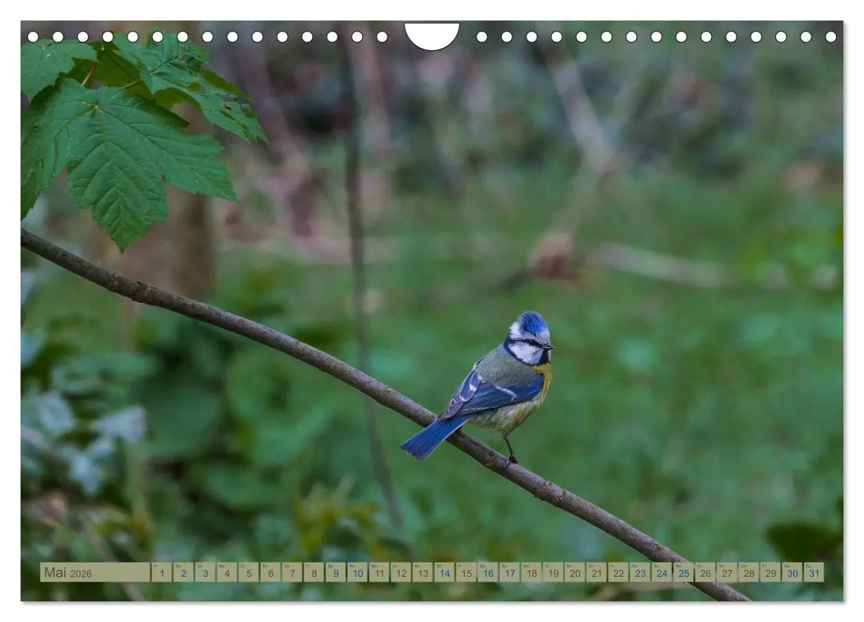 Bild: 9783457828489 | Woltersdorf bei Berlin (Wandkalender 2026 DIN A4 quer), CALVENDO...