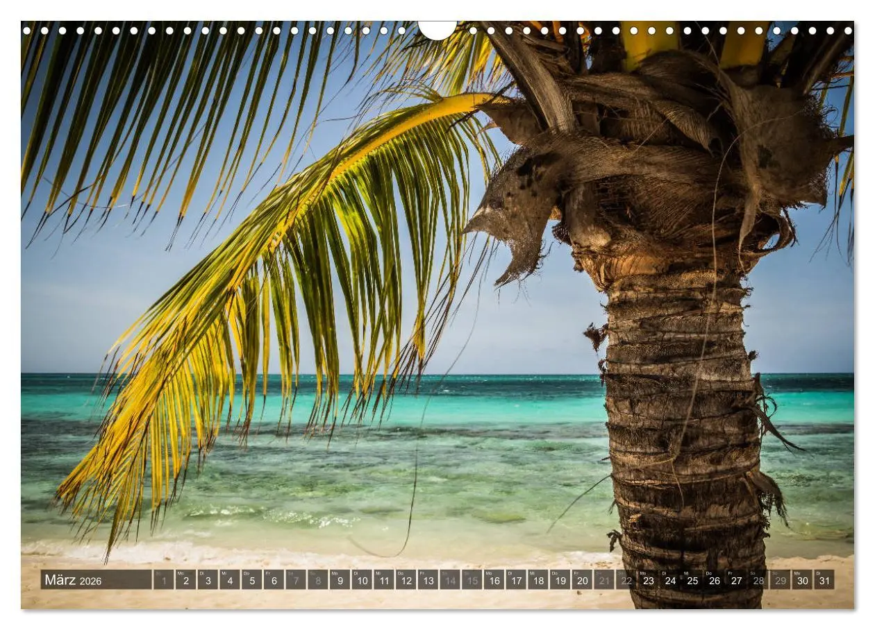 Bild: 9783516088489 | Kuba Nostalgie 2026 (Wandkalender 2026 DIN A3 quer), CALVENDO...