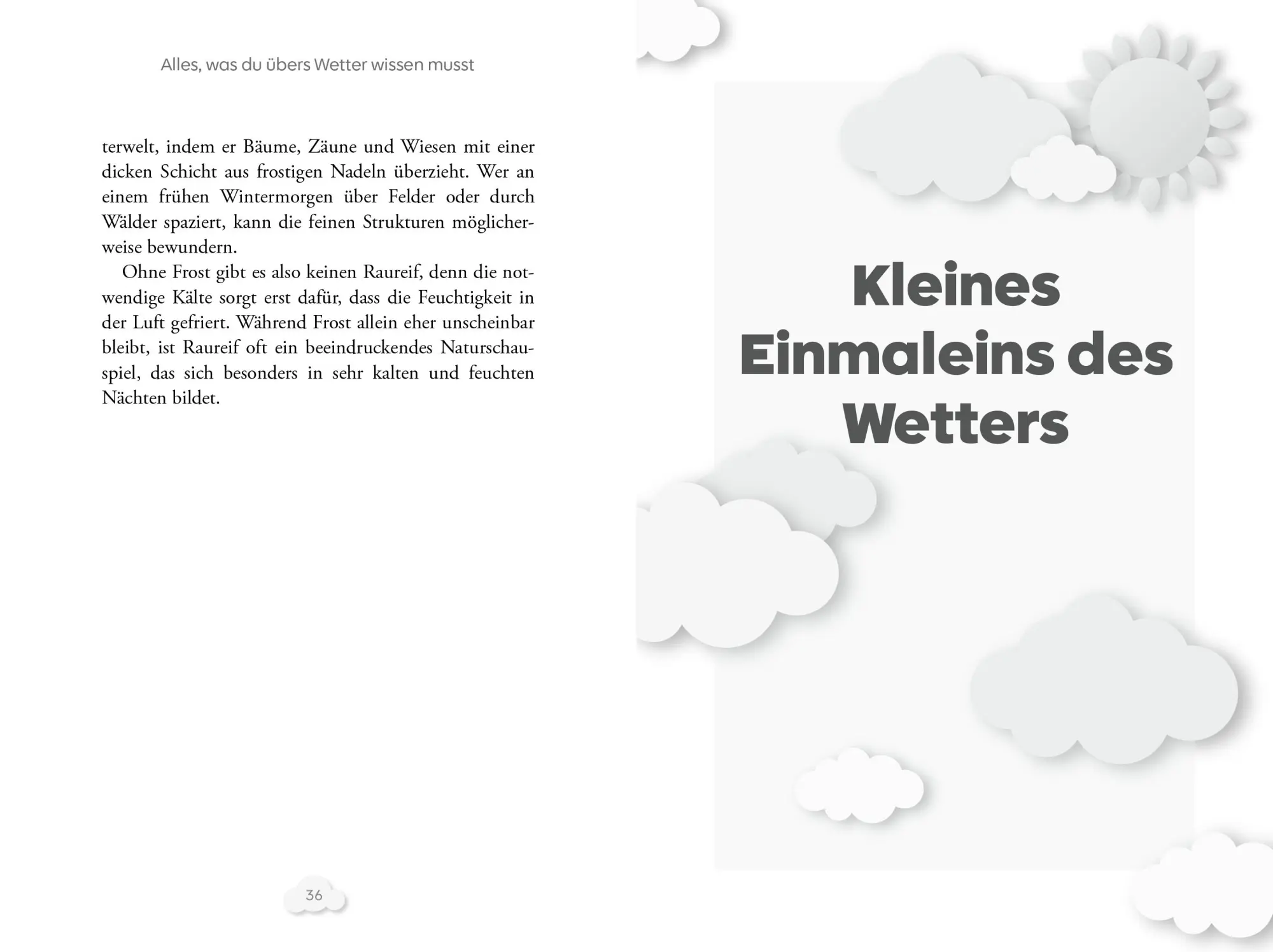 Bild: 9783742328489 | Alles, was du übers Wetter wissen musst | Dominik Jung | Taschenbuch