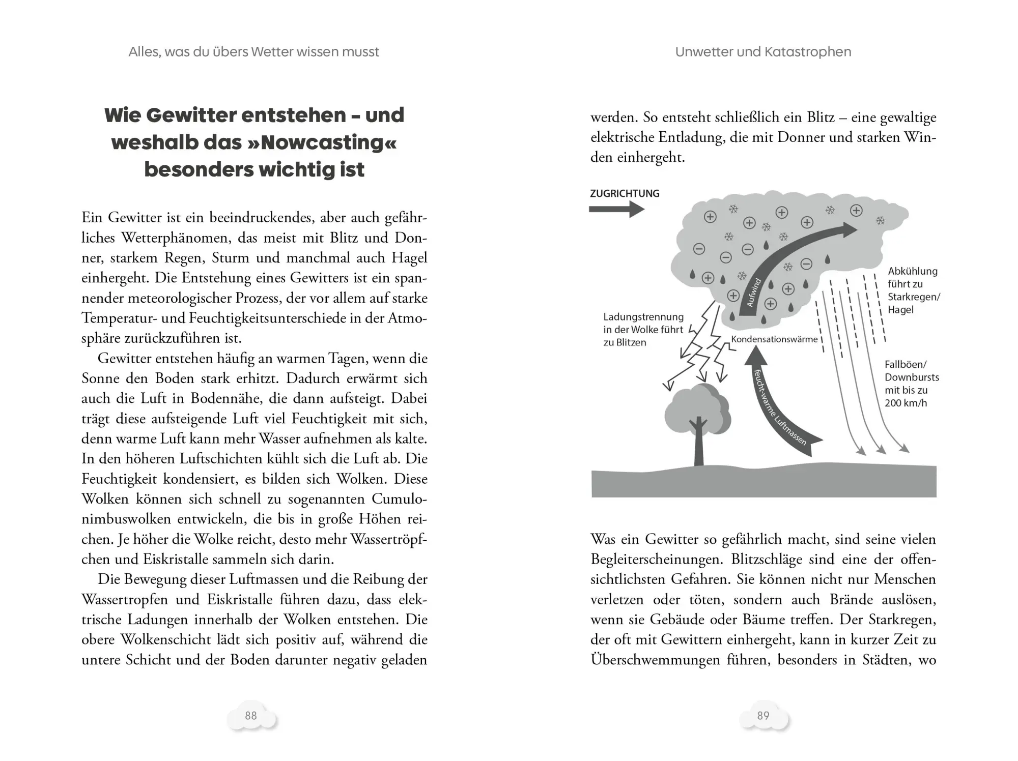 Bild: 9783742328489 | Alles, was du übers Wetter wissen musst | Dominik Jung | Taschenbuch