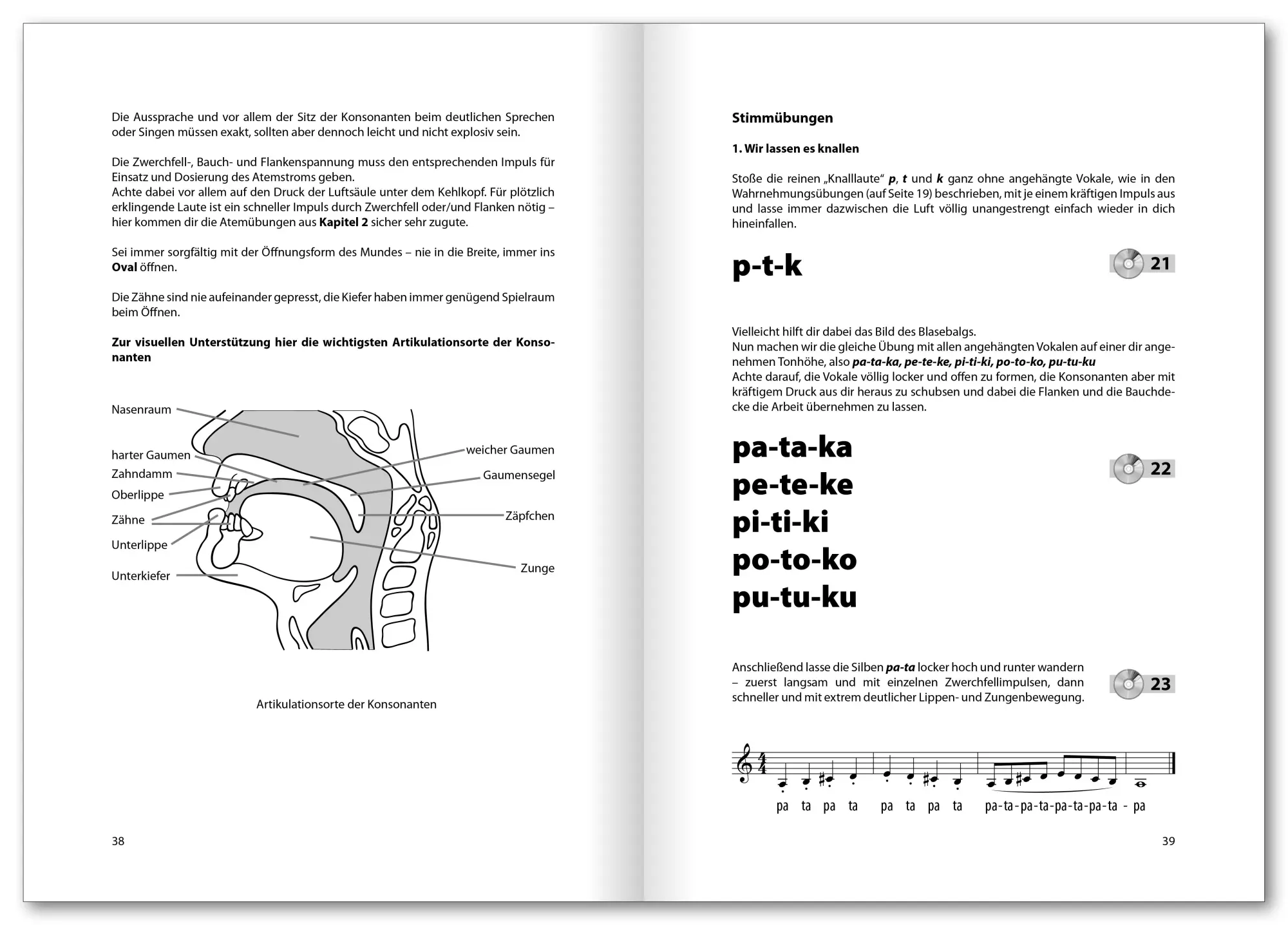 Bild: 9783802408489 | Voice Basics | Renate Braun | Broschüre | Audio-CD | 64 S. | Deutsch
