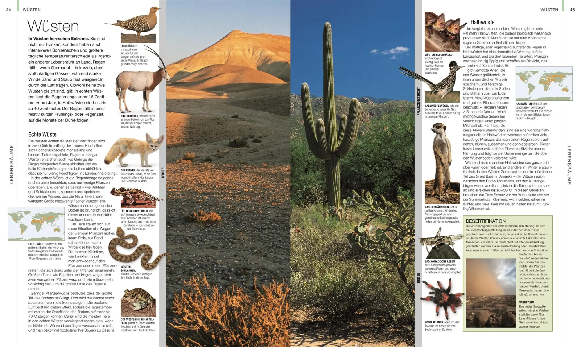 Bild: 9783831048489 | DK Bibliothek. Tiere | Die große Bild-Enzyklopädie mit über 2000 Arten
