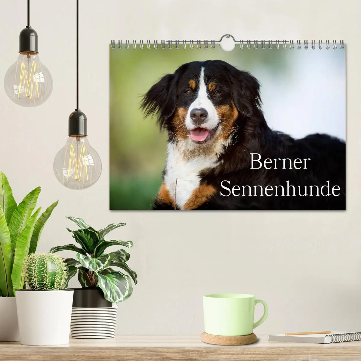 Bild: 9783516148589 | Berner Sennenhunde (Wandkalender 2026 DIN A4 quer), CALVENDO...