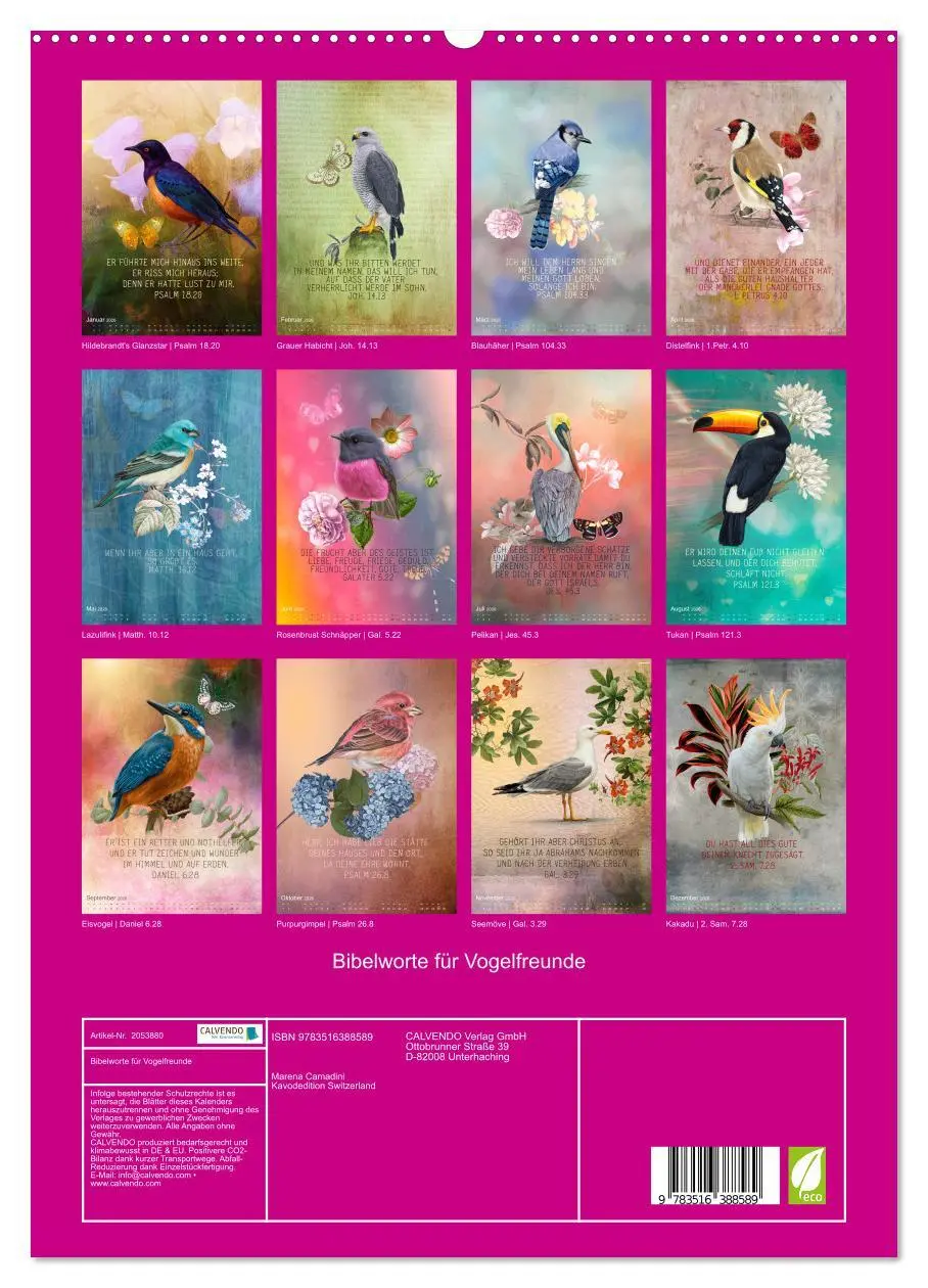 Bild: 9783516388589 | Bibelworte für Vogelfreunde (hochwertiger Premium Wandkalender 2026...