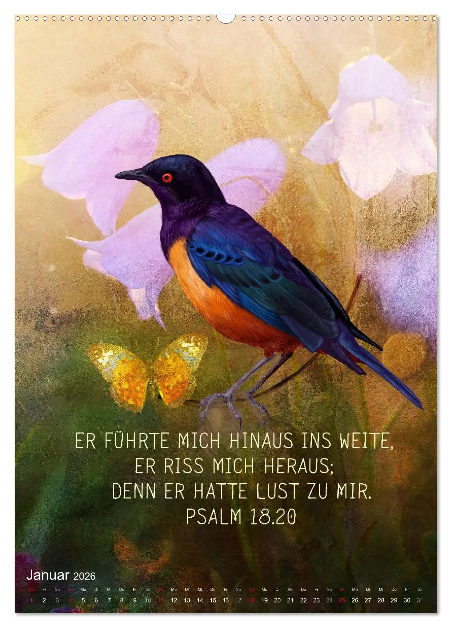 Bild: 9783516388589 | Bibelworte für Vogelfreunde (hochwertiger Premium Wandkalender 2026...
