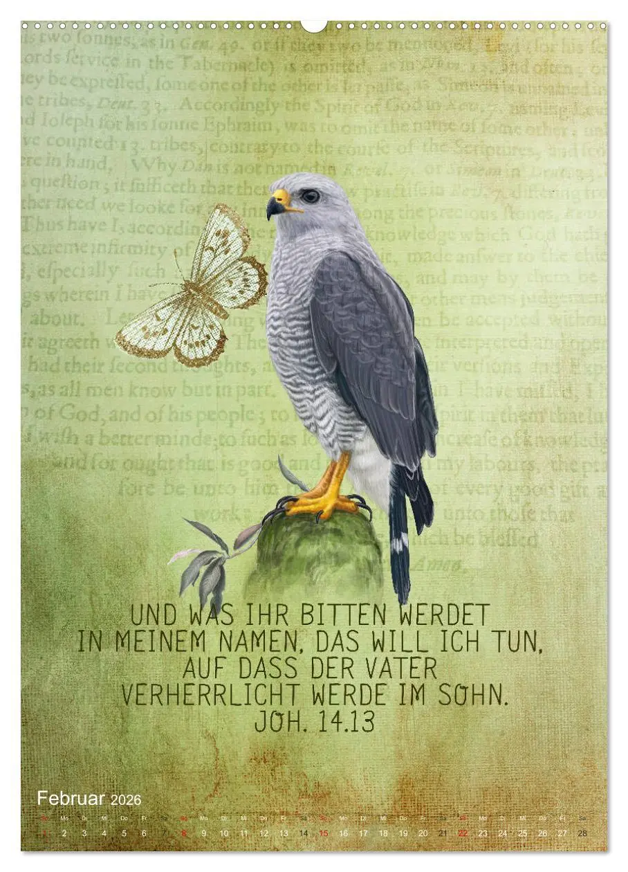 Bild: 9783516388589 | Bibelworte für Vogelfreunde (hochwertiger Premium Wandkalender 2026...
