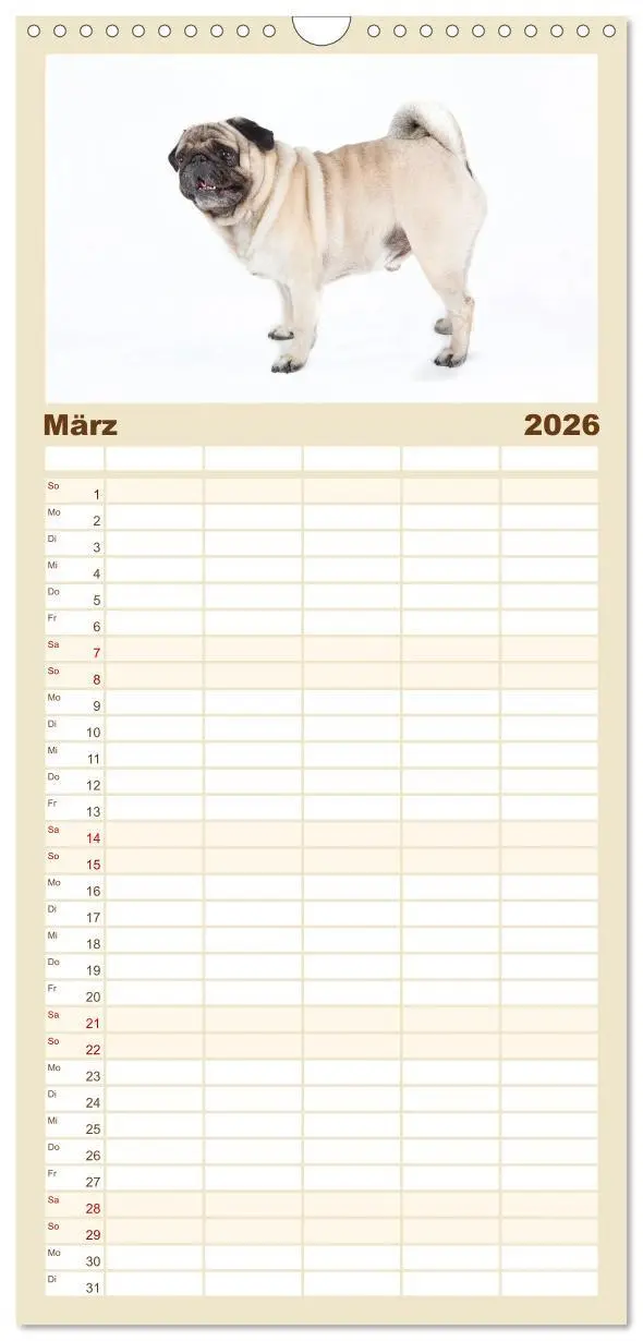 Bild: 9783516518689 | Familienplaner 2026 - Mops - unwiderstehlich und charmant mit 5...