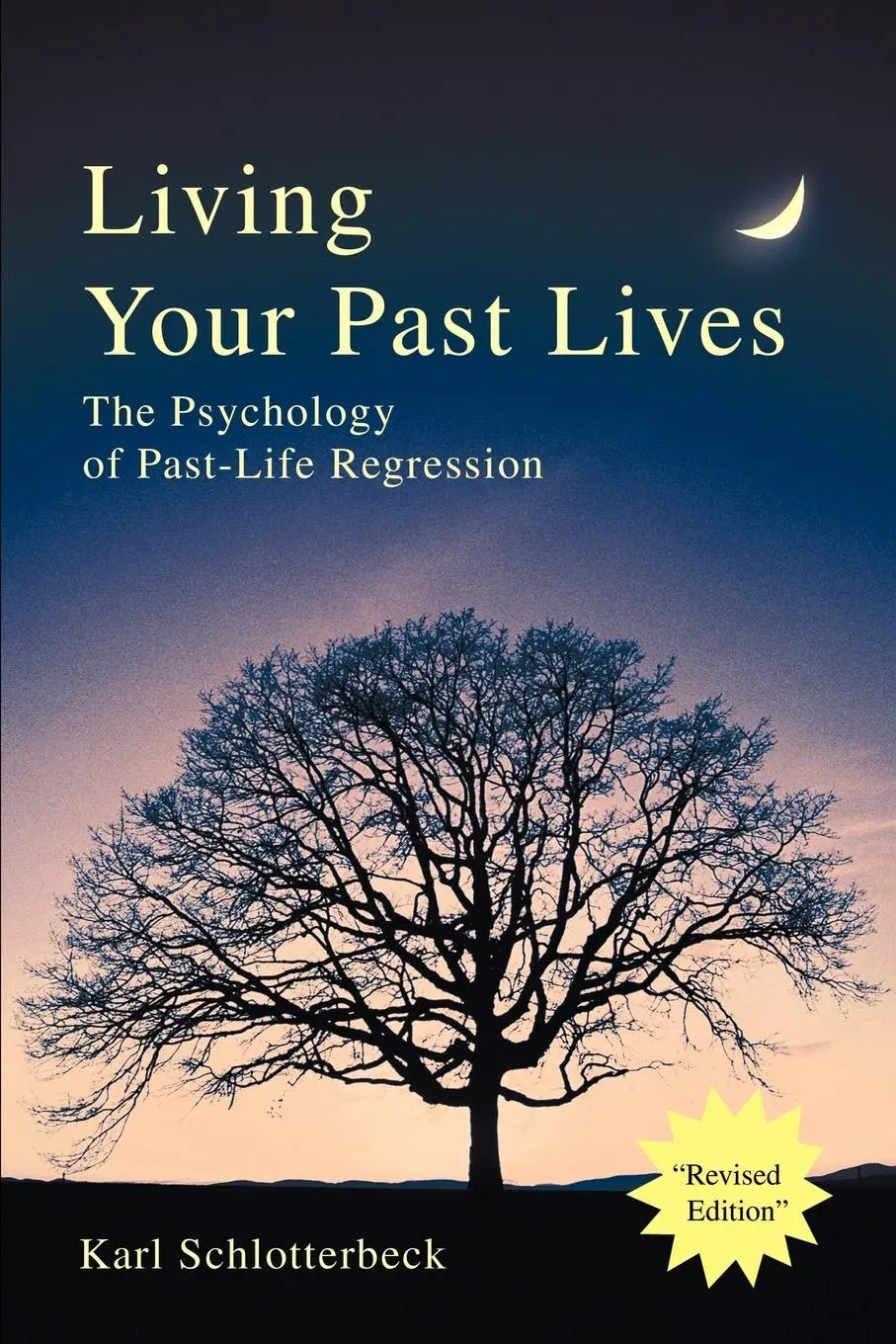 Cover: 9780595258789 | Living Your Past Lives | The Psychology of Past-Life Regression | Buch