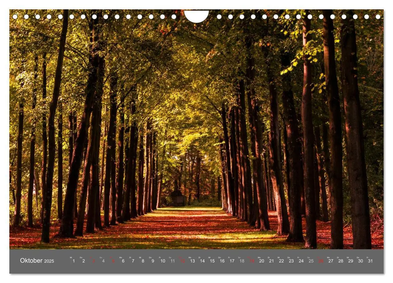 Bild: 9783435558889 | Leuchtendes Münster 2025 - die Metropole Westfalens (Wandkalender...