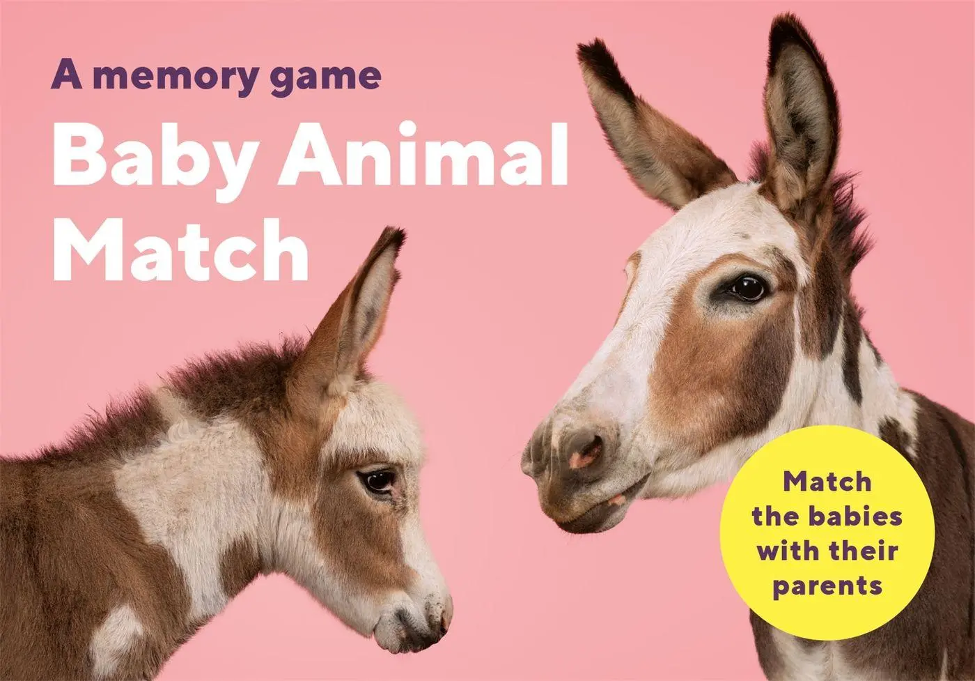 Cover: 9780857828989 | Baby Animal Match | A Matching Memory Game | Gerrard Gethings | Spiel