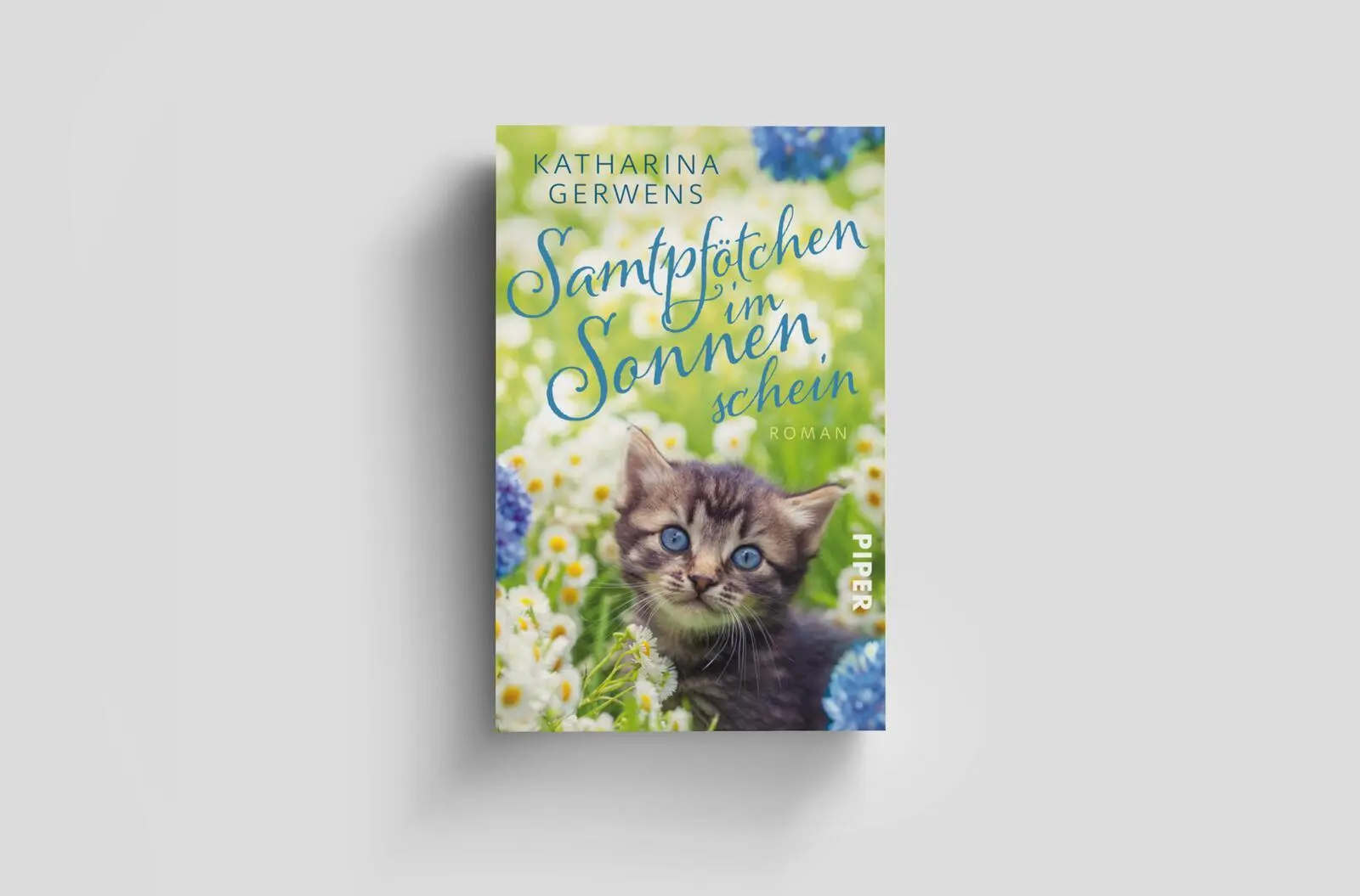 Bild: 9783492319089 | Samtpfötchen im Sonnenschein | Katharina Gerwens | Taschenbuch | 2025