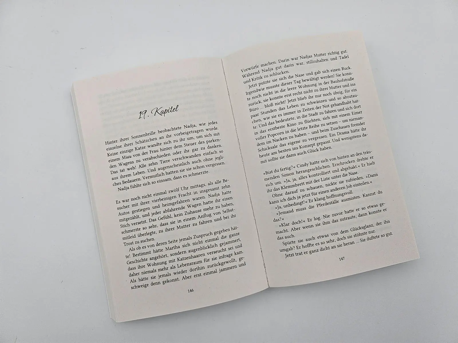 Bild: 9783492319089 | Samtpfötchen im Sonnenschein | Katharina Gerwens | Taschenbuch | 2025