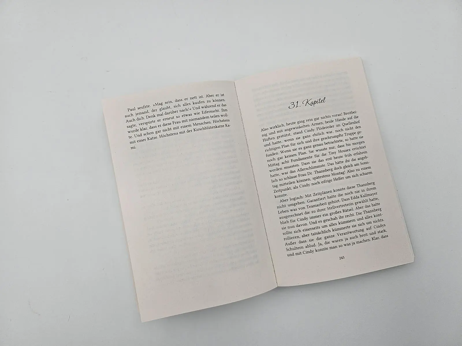 Bild: 9783492319089 | Samtpfötchen im Sonnenschein | Katharina Gerwens | Taschenbuch | 2025
