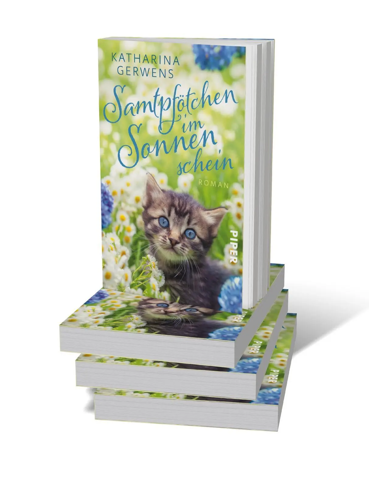 Bild: 9783492319089 | Samtpfötchen im Sonnenschein | Katharina Gerwens | Taschenbuch | 2025
