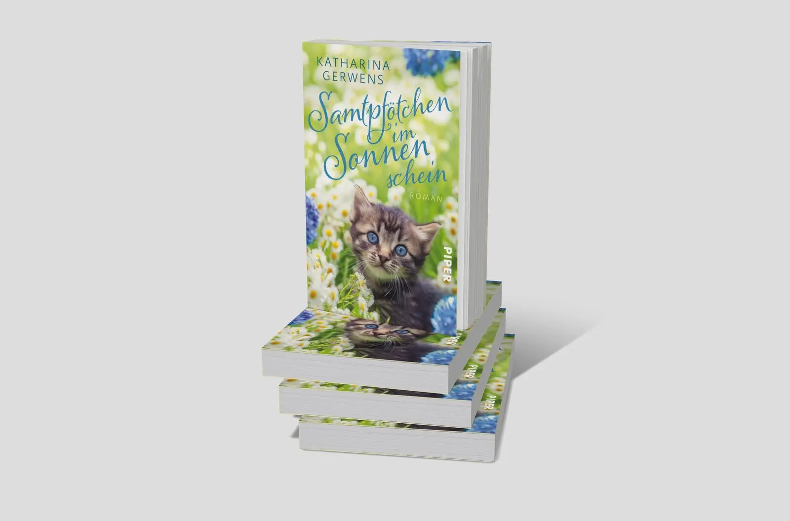 Bild: 9783492319089 | Samtpfötchen im Sonnenschein | Katharina Gerwens | Taschenbuch | 2025