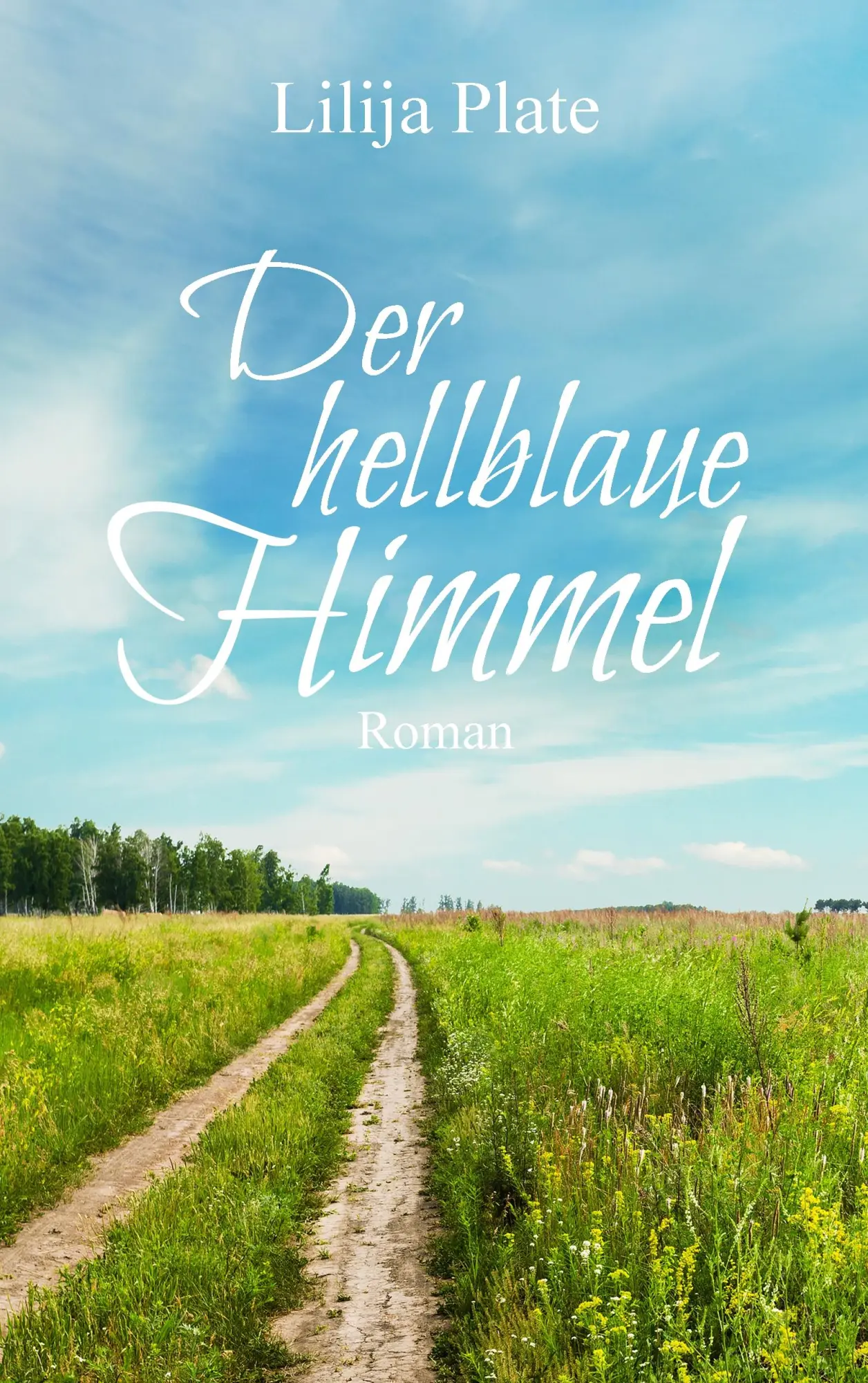 Cover: 9783743189089 | Der hellblaue Himmel | Lilija Plate | Taschenbuch | 532 S. | Deutsch