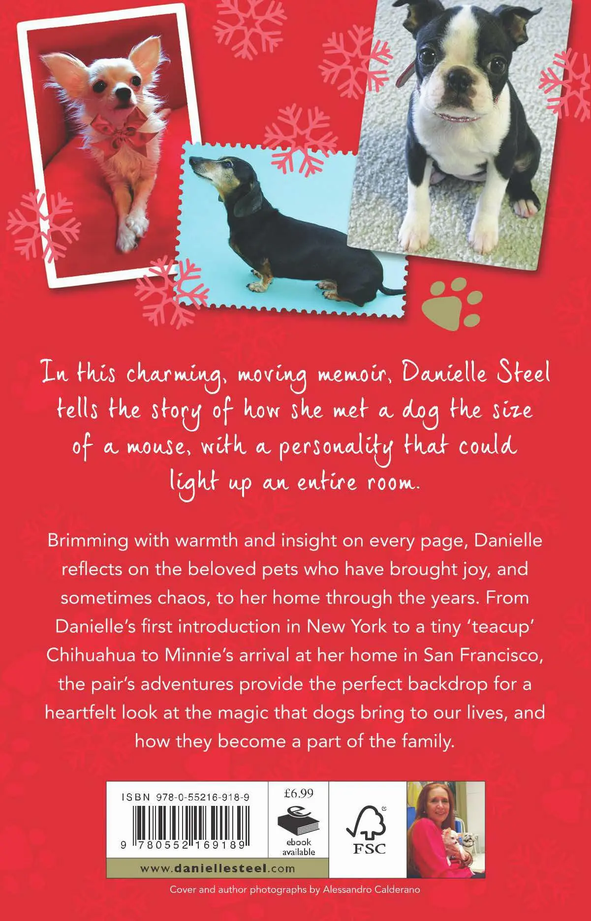 Rückseite: 9780552169189 | Pure Joy | Danielle Steel | Taschenbuch | Kartoniert / Broschiert