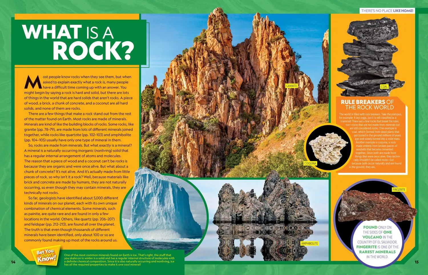 Bild: 9781426339189 | Ultimate Rockopedia | Steve Tomecek | Buch | Englisch | 2020