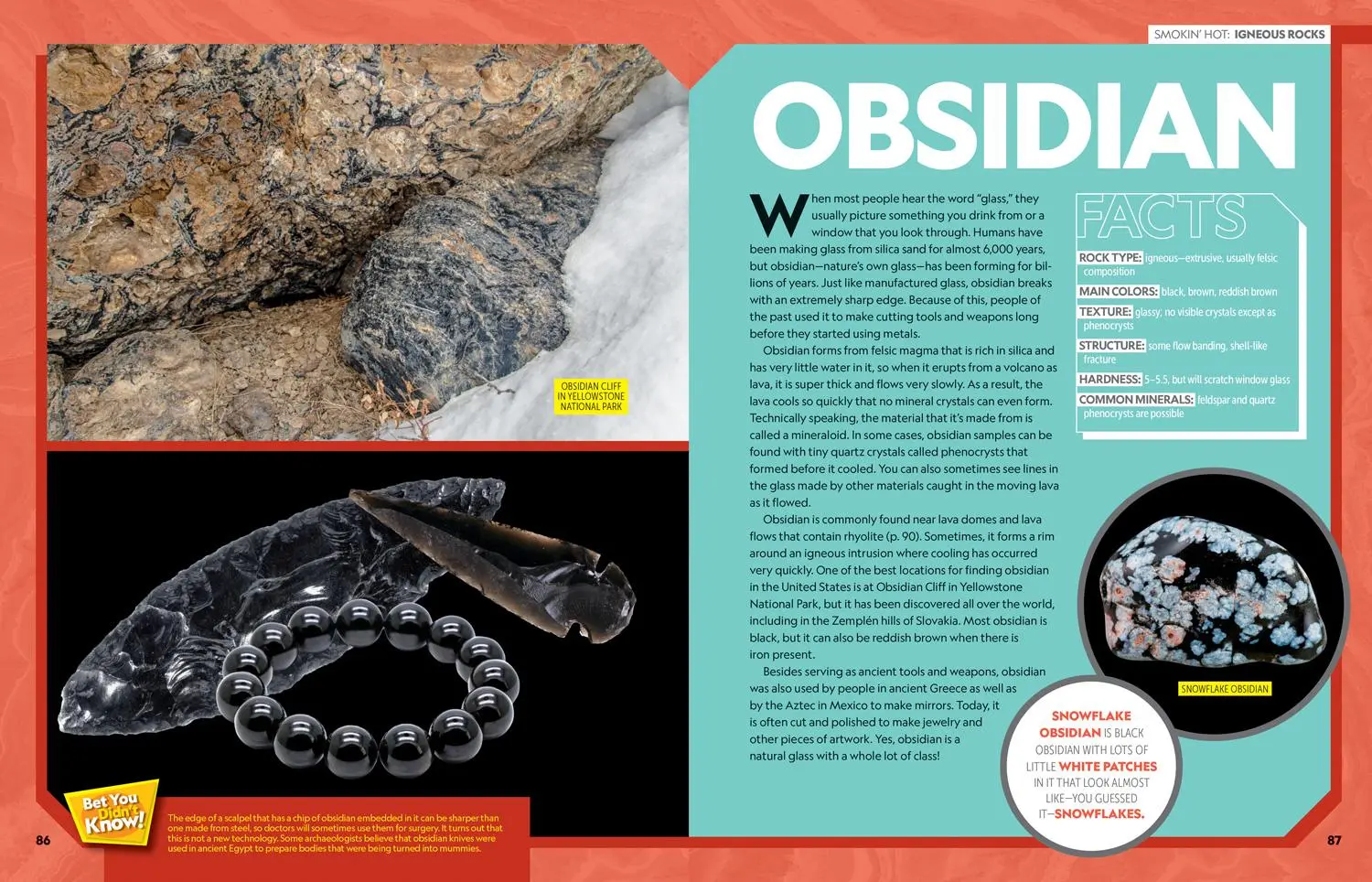 Bild: 9781426339189 | Ultimate Rockopedia | Steve Tomecek | Buch | Englisch | 2020