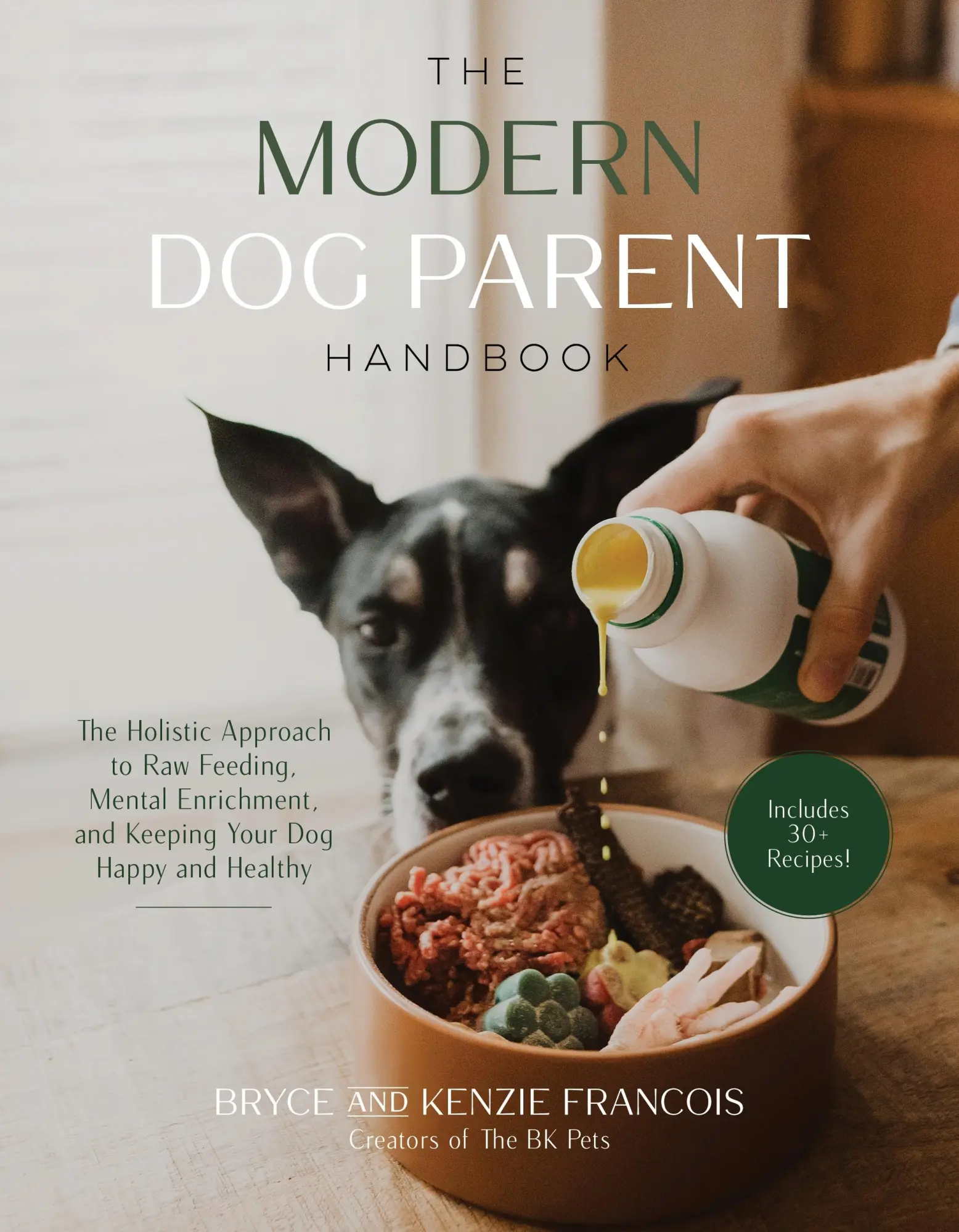 Cover: 9781645679189 | The Modern Dog Parent Handbook | Bryce Francois (u. a.) | Taschenbuch