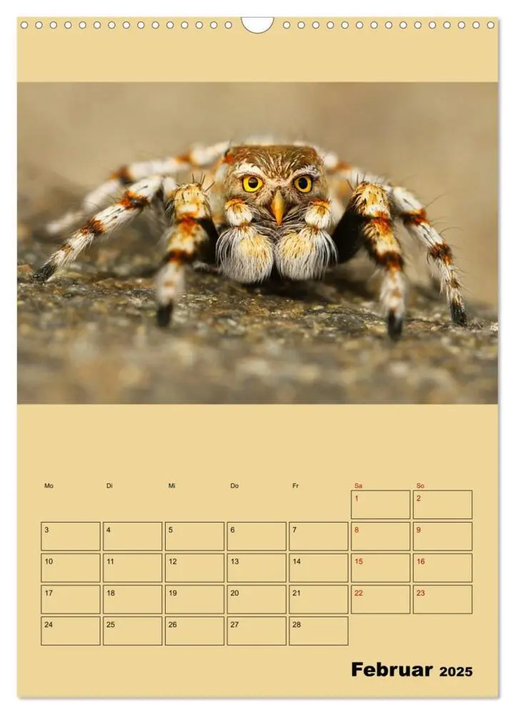 Bild: 9783435979189 | Seltsame Tiere - da stimmt doch was nicht... (Wandkalender 2025 DIN...