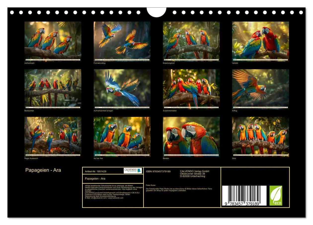 Bild: 9783457379189 | Papageien - Ara (Wandkalender 2026 DIN A4 quer), CALVENDO...