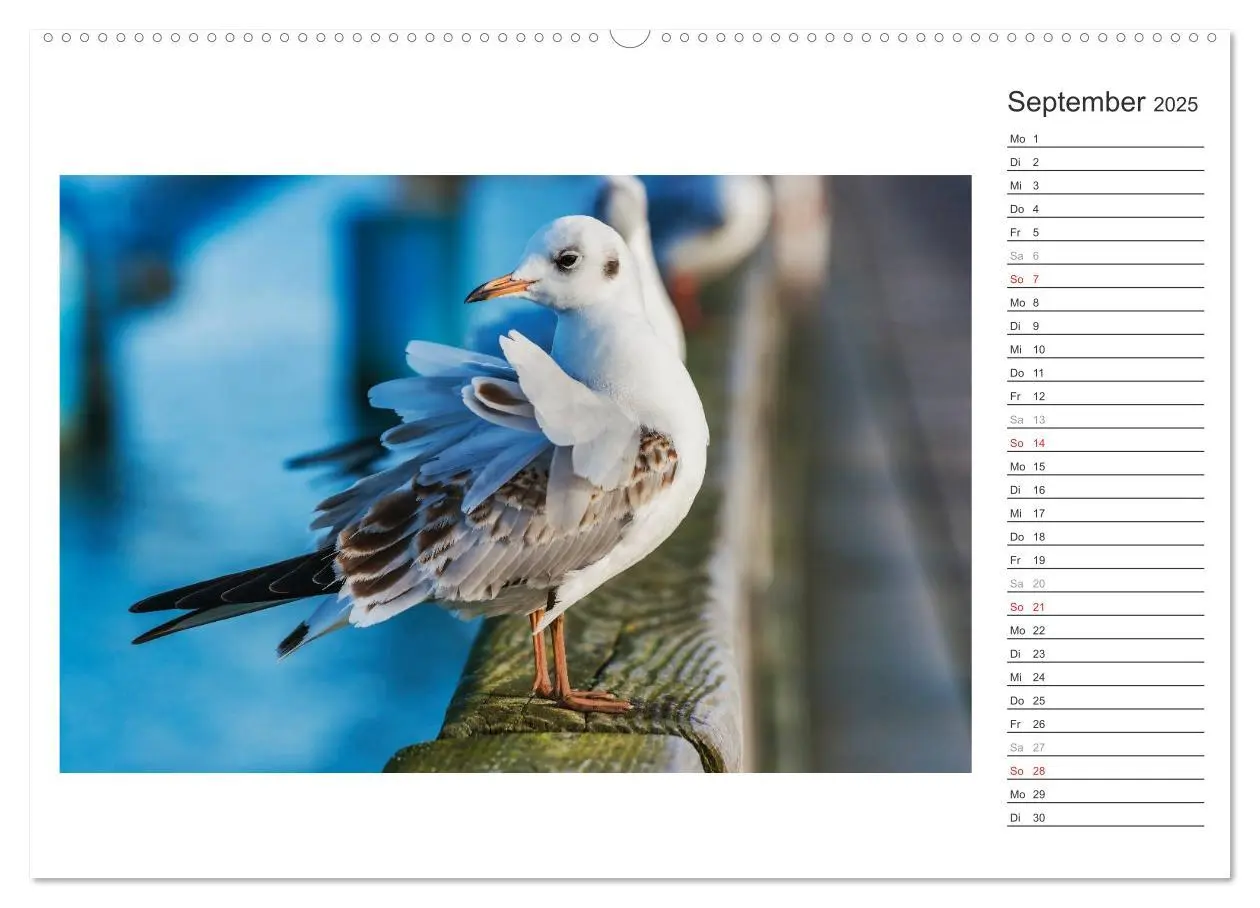 Bild: 9783435729289 | Zeit für Erholung - Insel Usedom / Geburtstagskalender...