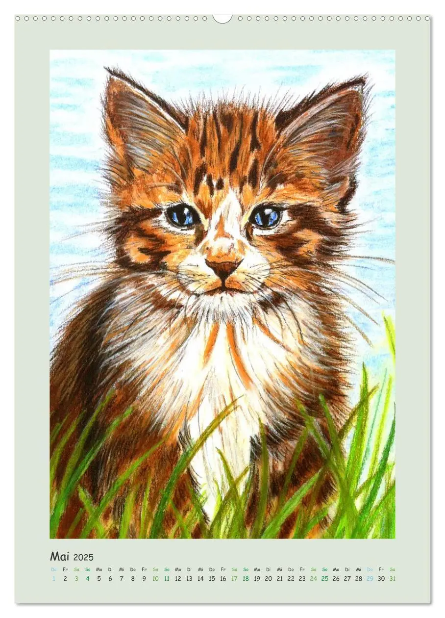 Bild: 9783435899289 | PortraiTierART Samtpfötchen (Wandkalender 2025 DIN A2 hoch),...