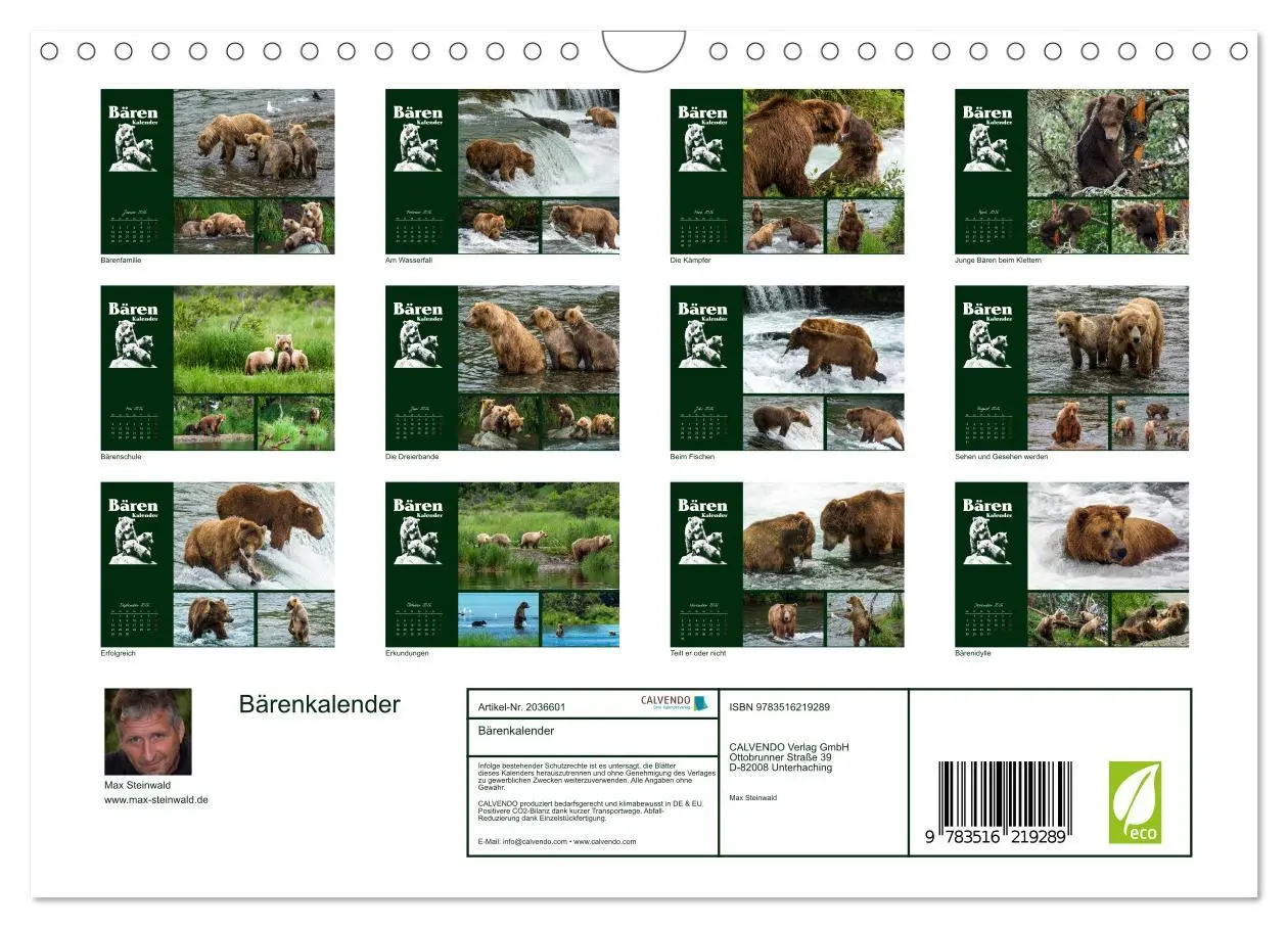 Bild: 9783516219289 | Bärenkalender (Wandkalender 2026 DIN A4 quer), CALVENDO Monatskalender