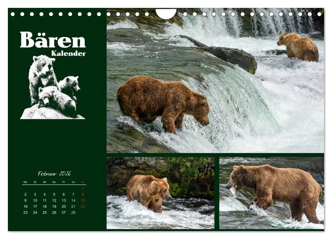 Bild: 9783516219289 | Bärenkalender (Wandkalender 2026 DIN A4 quer), CALVENDO Monatskalender