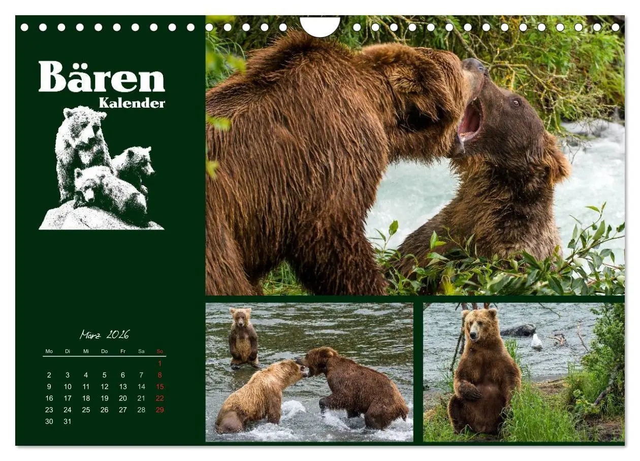 Bild: 9783516219289 | Bärenkalender (Wandkalender 2026 DIN A4 quer), CALVENDO Monatskalender