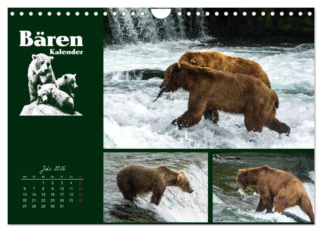 Bild: 9783516219289 | Bärenkalender (Wandkalender 2026 DIN A4 quer), CALVENDO Monatskalender
