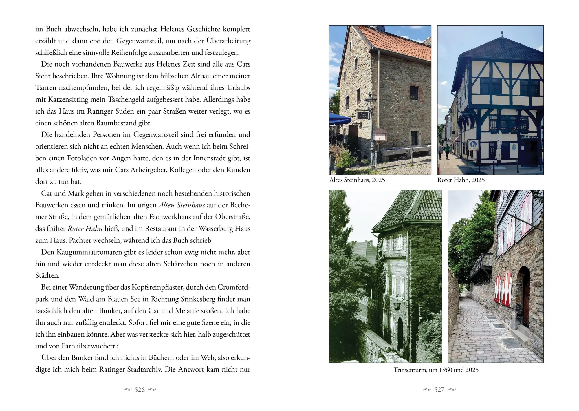 Bild: 9783910619289 | Ein Pakt aus Asche und Blut - Sonderausgabe | Sabine Riedel | Buch