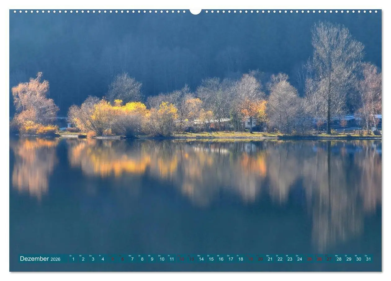 Bild: 9783457809389 | Mit Bäumen durchs Jahr (Wandkalender 2026 DIN A2 quer), CALVENDO...