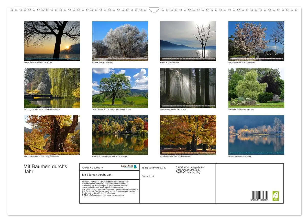 Bild: 9783457809389 | Mit Bäumen durchs Jahr (Wandkalender 2026 DIN A2 quer), CALVENDO...