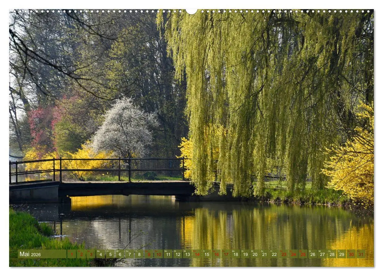 Bild: 9783457809389 | Mit Bäumen durchs Jahr (Wandkalender 2026 DIN A2 quer), CALVENDO...