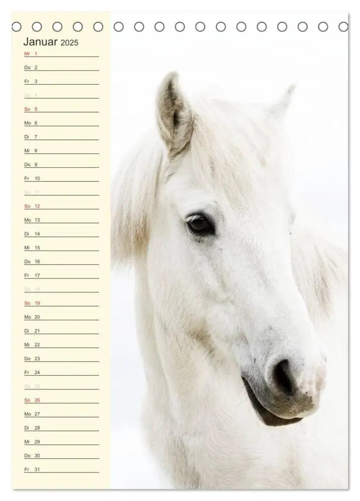 Bild: 9783457039489 | Islandpferde Geburtstagskalender (Tischkalender 2025 DIN A5 hoch),...