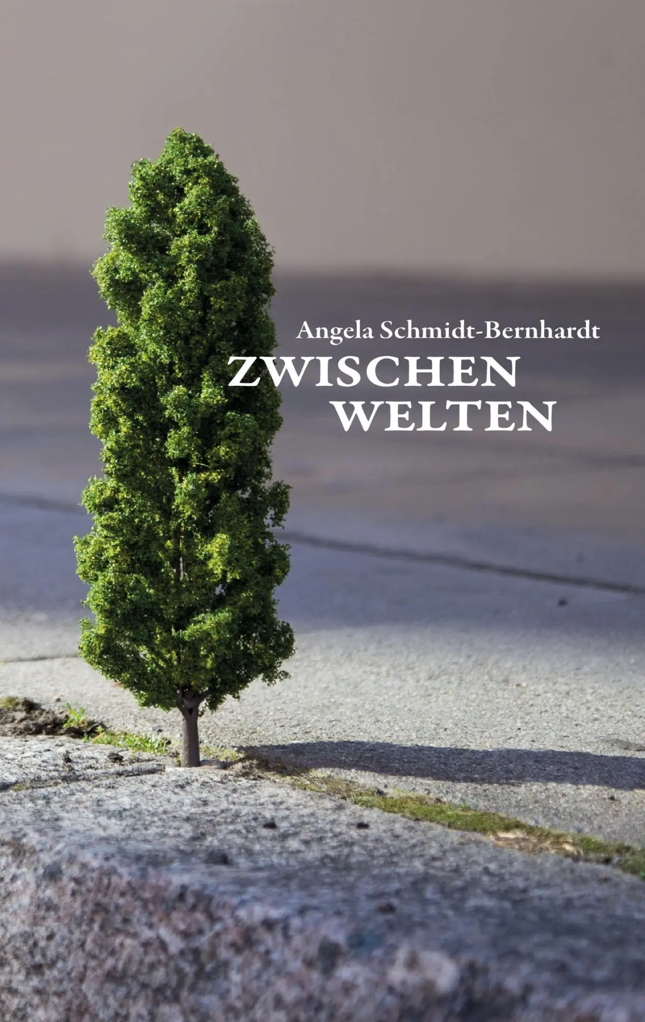 Cover: 9783734539589 | Zwischenwelten | Angela Schmidt-Bernhardt | Taschenbuch | 136 S.