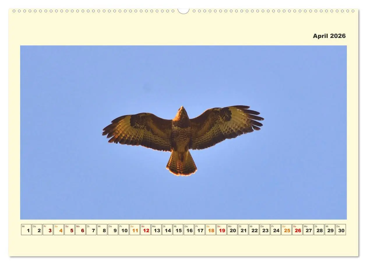 Bild: 9783457569689 | Tierwelt der Wümmeniederung (Wandkalender 2026 DIN A2 quer),...