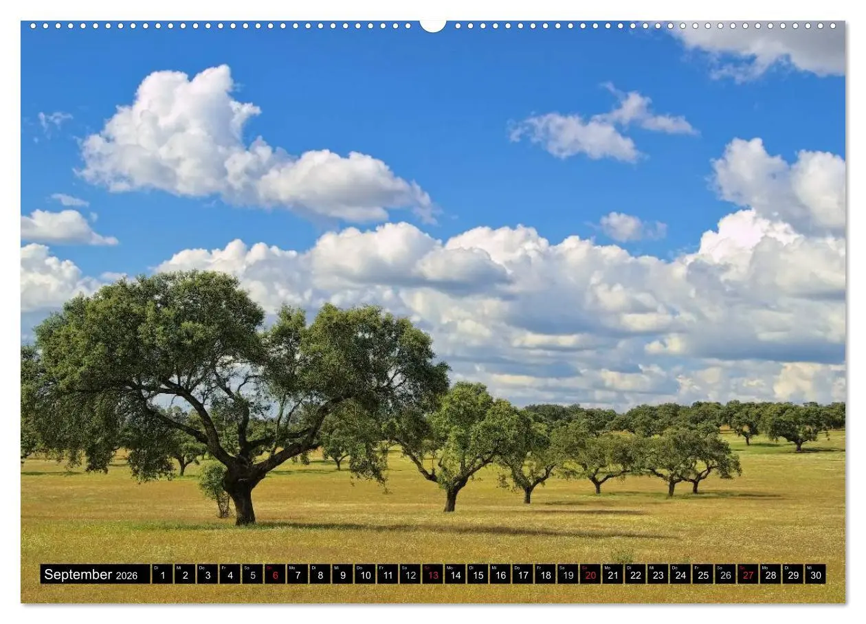 Bild: 9783516109689 | Extremadura - Unbekanntes Spanien (Wandkalender 2026 DIN A2 quer),...