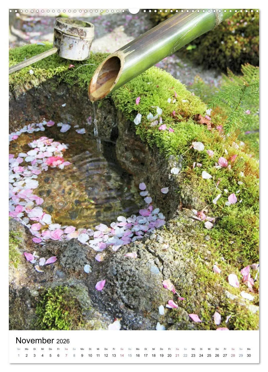 Bild: 9783516409789 | Japan - Kirschblüten (Wandkalender 2026 DIN A2 hoch), CALVENDO...