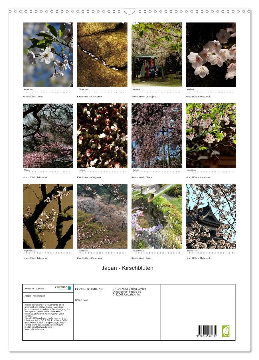 Bild: 9783516409789 | Japan - Kirschblüten (Wandkalender 2026 DIN A2 hoch), CALVENDO...
