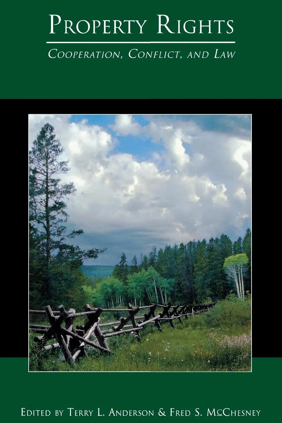Cover: 9780691099989 | Property Rights | Cooperation, Conflict, and Law | Anderson (u. a.)