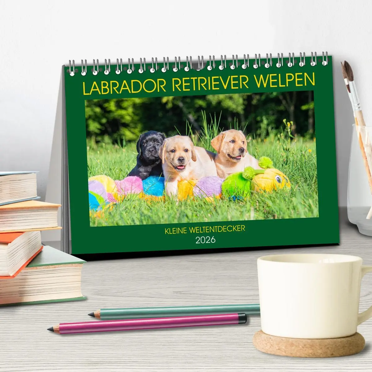 Bild: 9783457779989 | Labrador Retriever Welpen - Kleine Weltentdecker (Tischkalender...