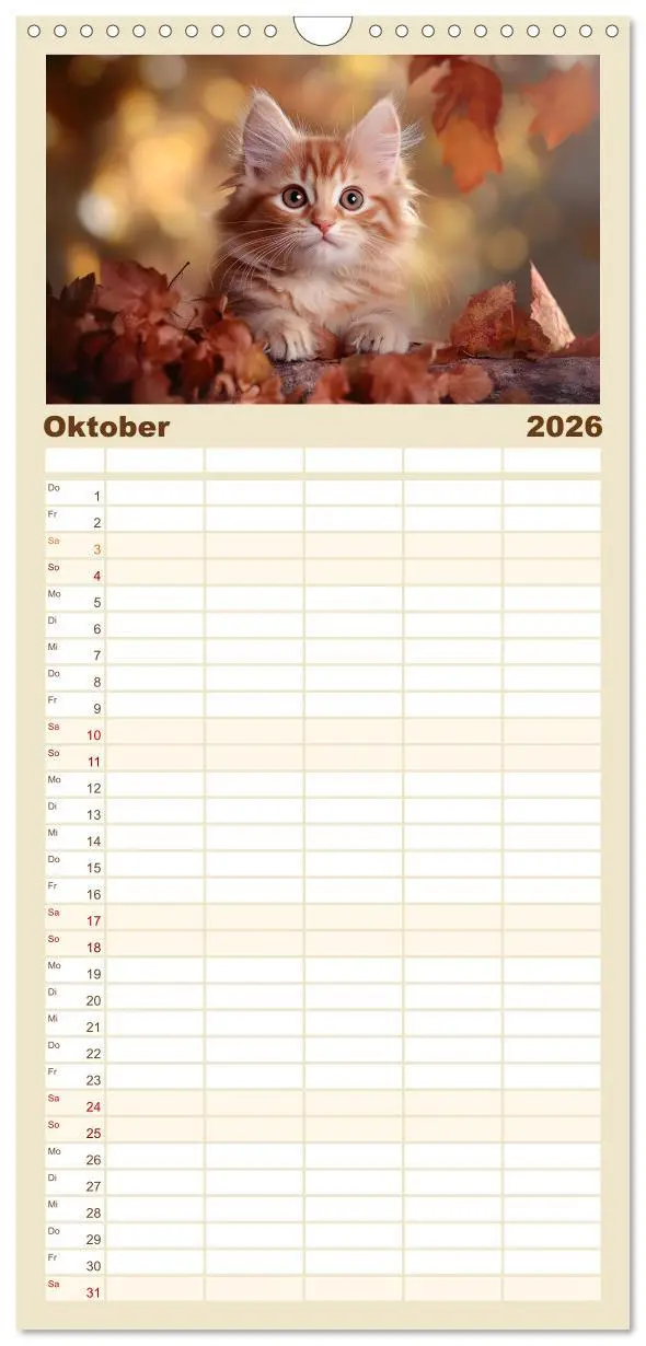 Bild: 9783516489989 | Familienplaner 2026 - Zauberhafte Katzenbabys mit 5 Spalten...