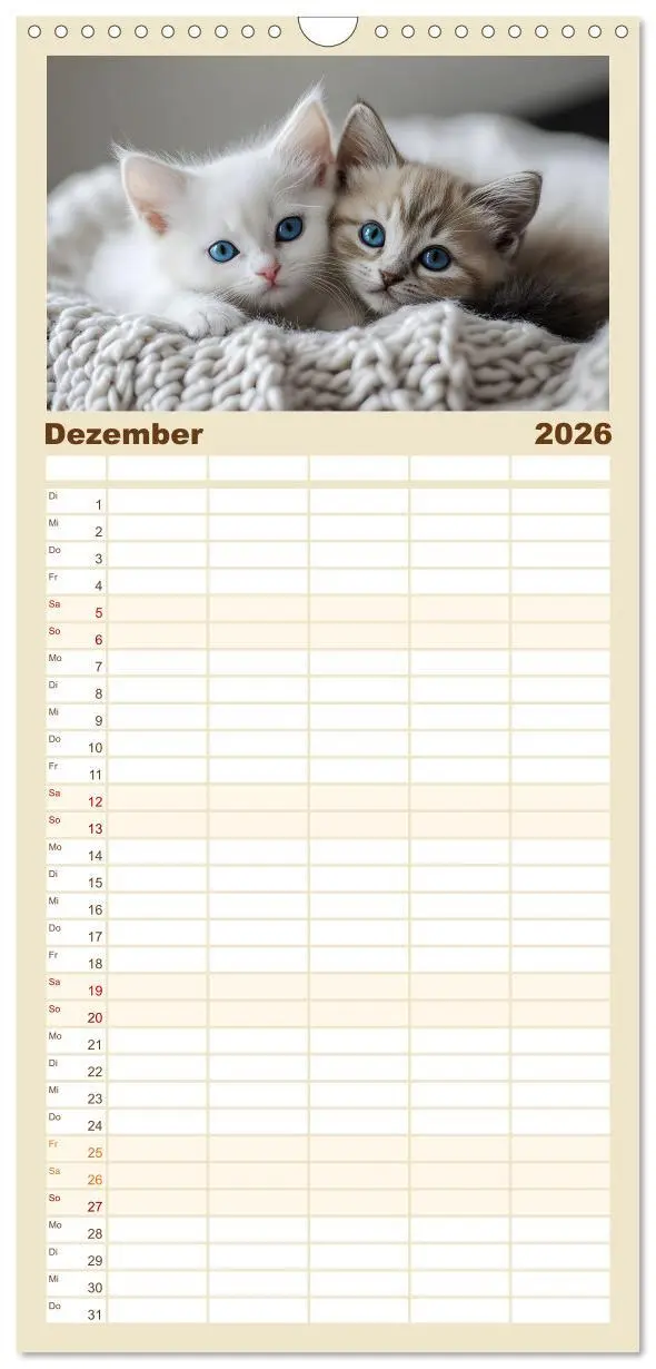 Bild: 9783516489989 | Familienplaner 2026 - Zauberhafte Katzenbabys mit 5 Spalten...